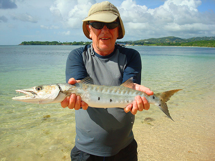 Another, slightly better, barracuda from the flats. This one did a few cartwheels while being played.