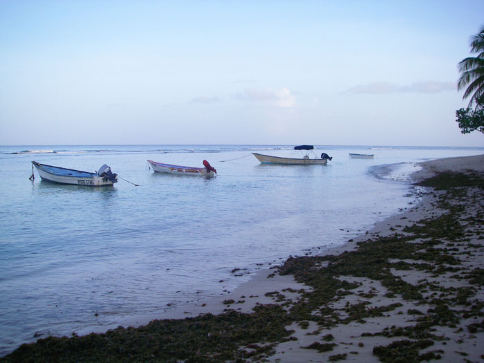 The waves are breaking over the coral and it's essential (but very difficult) to stop your fish reaching it.
