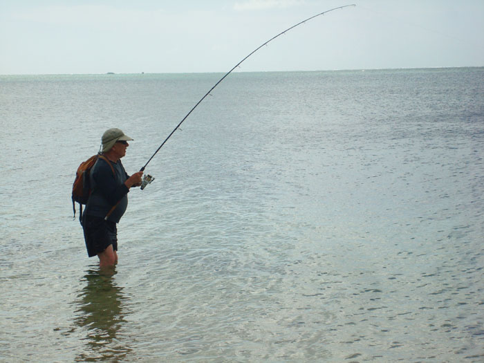 A good bonefish sets off for the horizon. Within seconds the little 4SureSpin rod would be bent double.