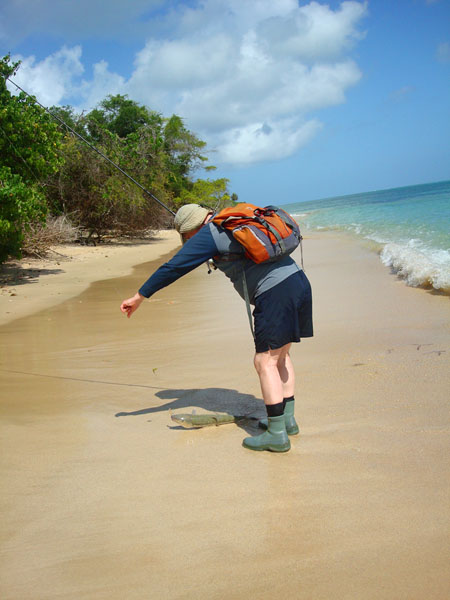 Again well hooked on the little plug. It's easy to beach them on the sand.