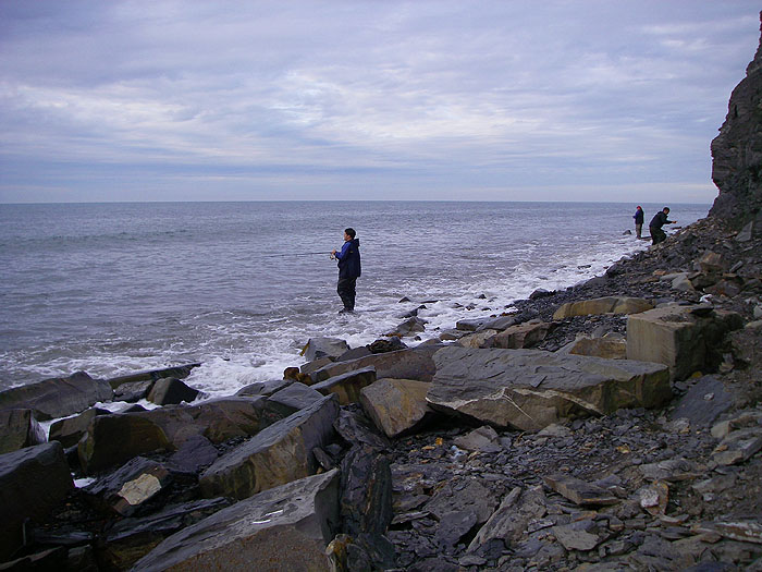 A few of my pals struggling to catch on my Dorset session.