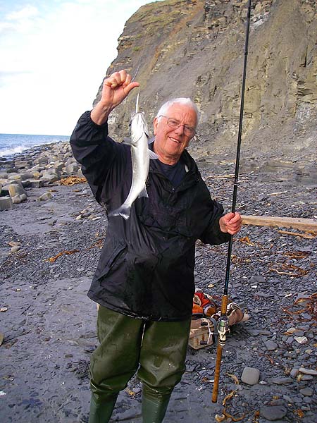 One of my schoolies - the bigger fish seemed scarce.