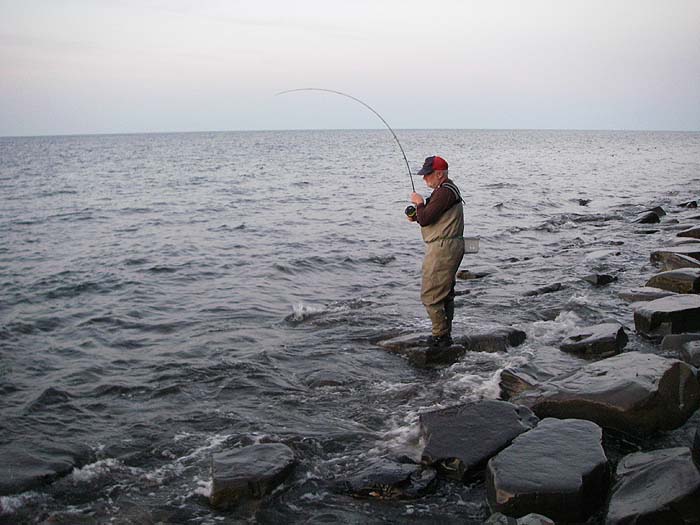 Nigel's into a good mullet..