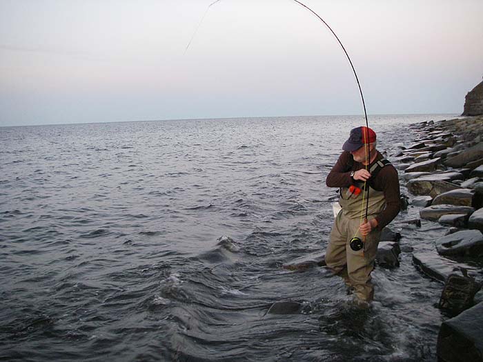 Almost ready to be beached unless it makes another run.