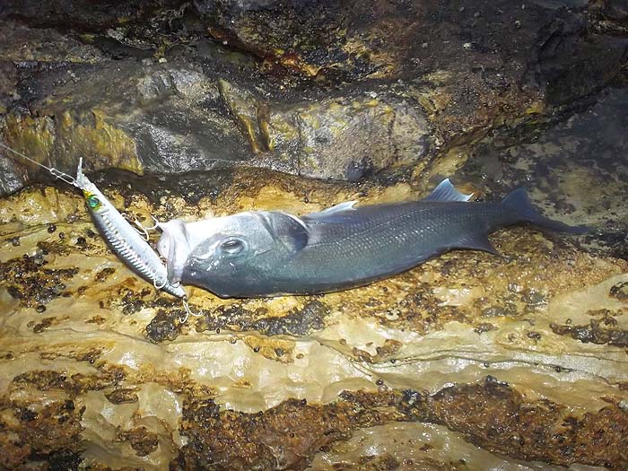 Presumably that's the Kommo II?