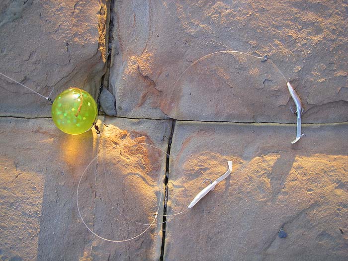 Two little Delta eels did the damage. The bouncy ball is gripped by a loop of stainless wire and has a swivel at either end.