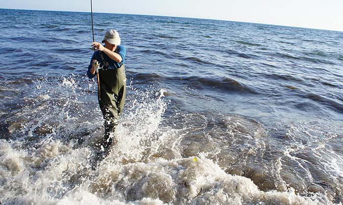 It was pretty rough in the edge and needed a bit of a dance and some nifty rod-work to coax my fish ashore.
