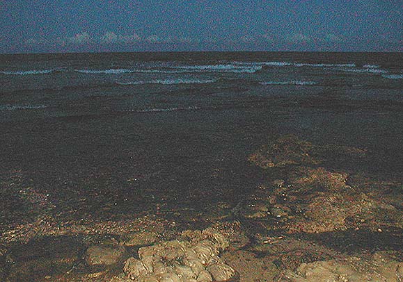 There is a good surf running - perfect!