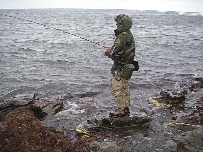 He's fishing his weedless soft plastic lure along the dge of the rocks where he's standing. Note the weed, there's lots more of it in the water.
