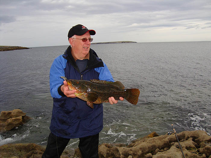 Ballan wrasse are attractive fish aren't they? This one's a real beauty.