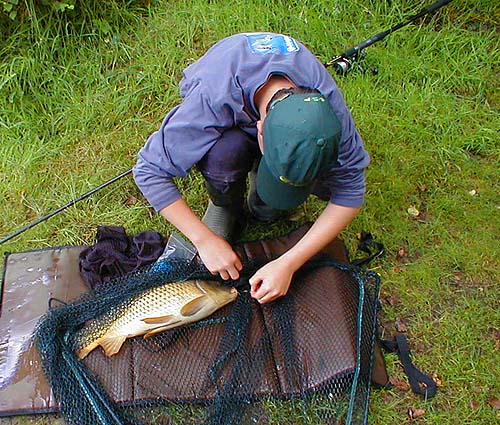 This one took a huge lump of crust.