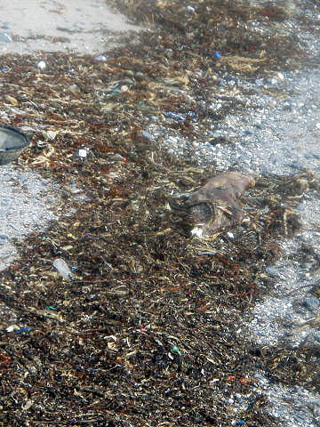 Not pleasant to look at but great for fishing.