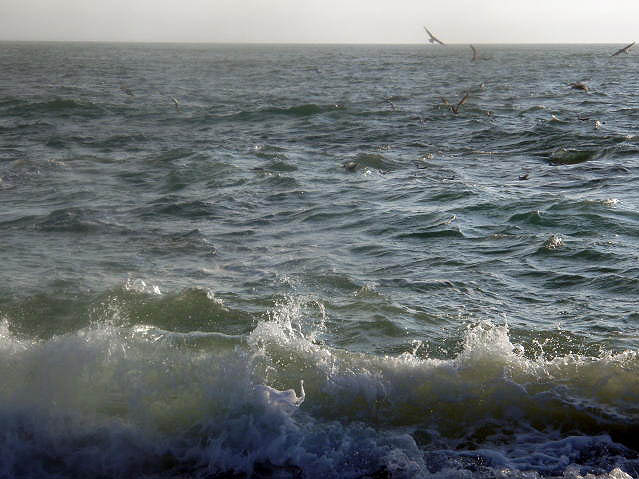 Much the same as on the Purbeck coast.