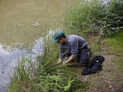 There is nothing like seeing them swim away.