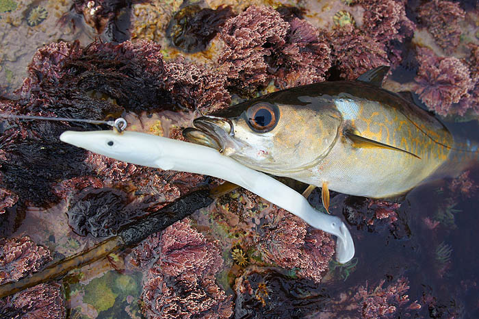 A large, crude hook but in the right spot.