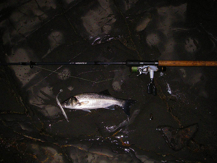 Not quite as big as the first but still satisfying.