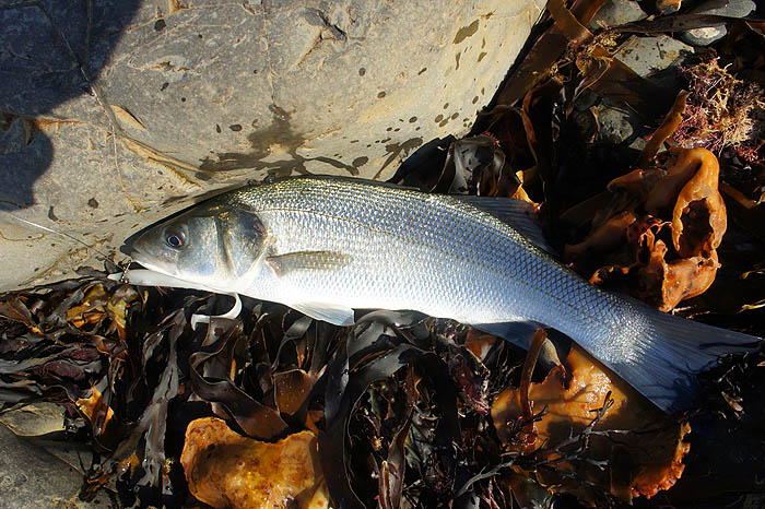 Makes it all worthwhile.