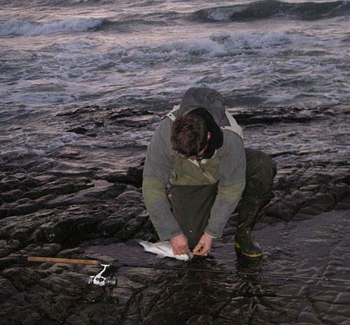 My pal Ben unhooks a nice fish caught on a plug.