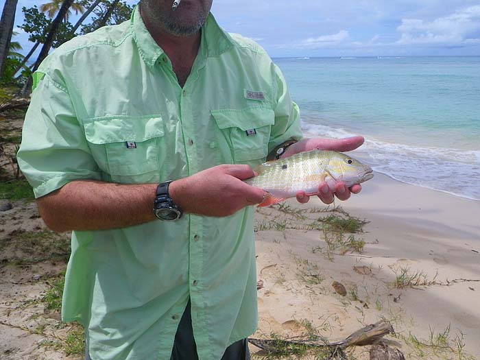 Beautiful and good to eat too.