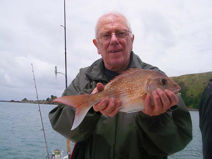 This was my first ever snapper - taken on a piece of squid. They proved easy to catch but were mostly small.