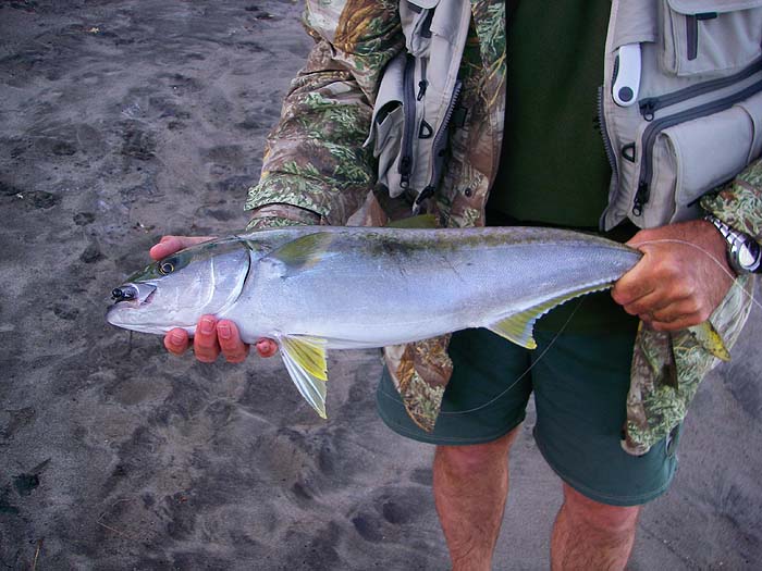 I couldn't resist another picture of the fish.