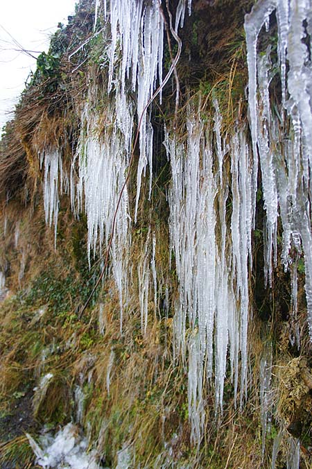 Rather Bill than me on a day like this.