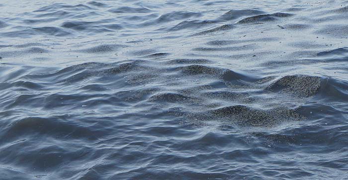 Impressive - but no fish.