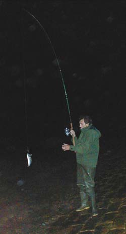 Steve borrowed my luminous lure and caught some scad.