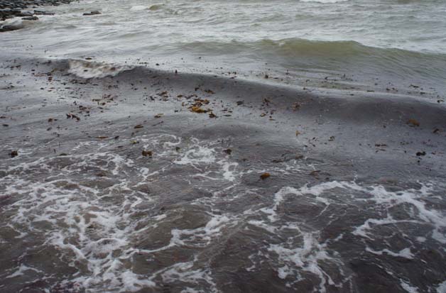 This stuff is 'woodlouse heaven' and is easily fishable with a weedless lure but you won't always catch.