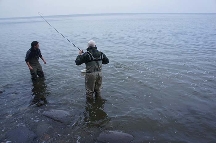 The mullet is tiring but they are still capable of long runs even at this stage.