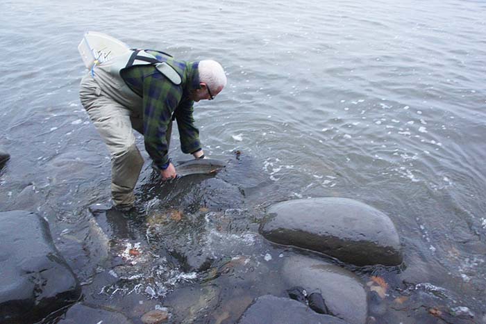 Catch and release is the order of the day and the fish is none the worse for it's struggles.