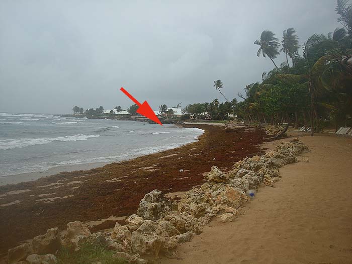 It really was unfishable. The arrow marks the spot where I hooked both of my jacks.