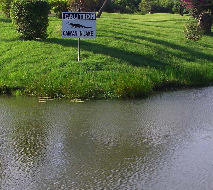 It wasn't easy to spot caiman in the lakes.