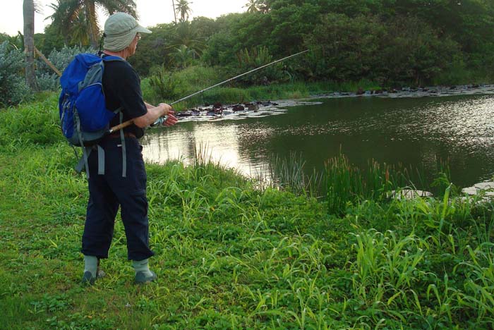 This pond was much deeper and seemed to hold bigger fish.