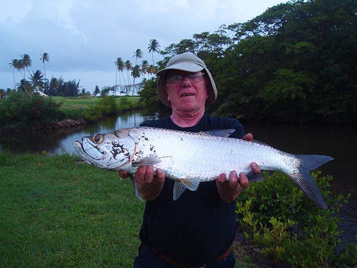 There were quite a few like this one. The biggest were probably four times the weight. Again a good test for the bass gear.