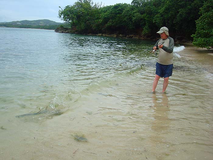 This one was easy after all my practice with its grandma.