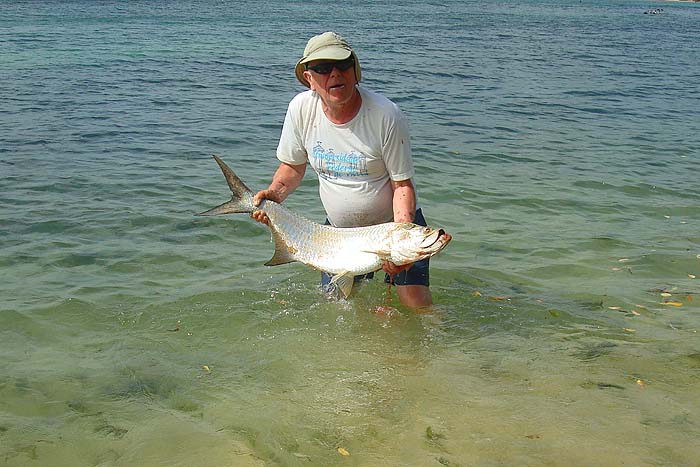 Back it goes. What a holiday!