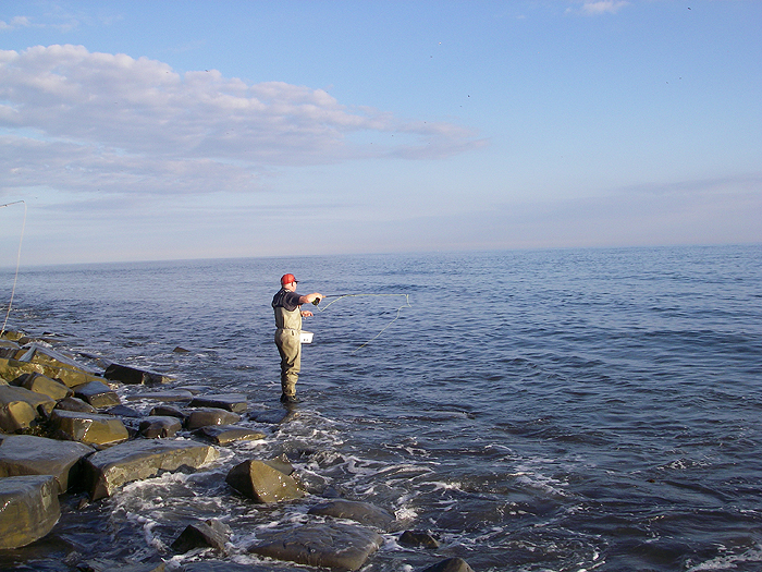 Since he started fly fishing a few years back Nigel has become a virtual 'mullet master'.