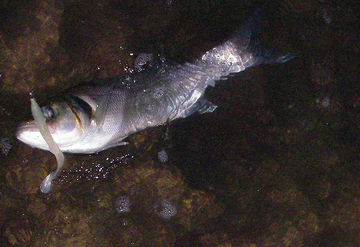 I took this one in the water.'