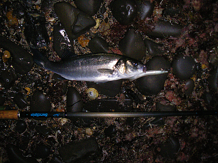 This was my first bass taken on the Redgill. As you can see it's still pretty gloomy.