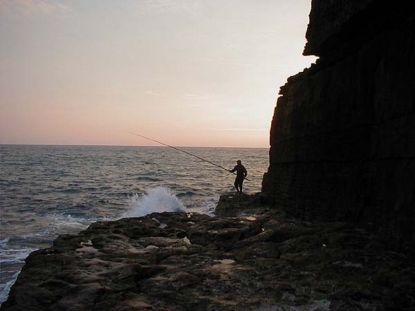 This is something you don't often see.