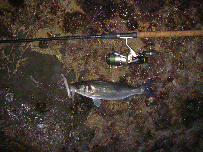 No monster, but it's been quite a while since Ben went fishing, so it was very welcome.