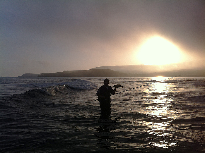 This is the one Ben caught from the surf as the sun was rising.