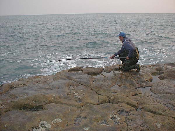 Adrian found it easy to pole fish from the rocky platform. He's determined to have another go.