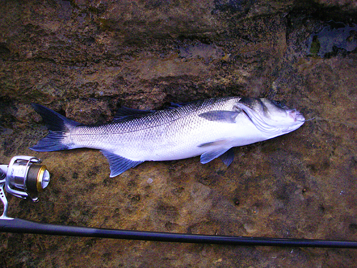 It's very satisfying to get exactly what you are after. I wonder how big the one I didn't hook was?