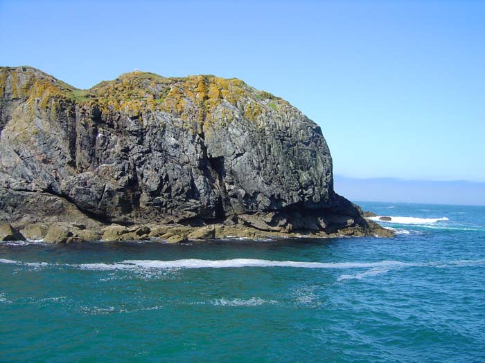 It rarely looks like this in Dorset and the pollack are usually much smaller.