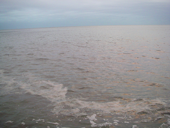 not maggots but the mullet often skimmed the surface in these patches to give Nigel hope of a catch.
