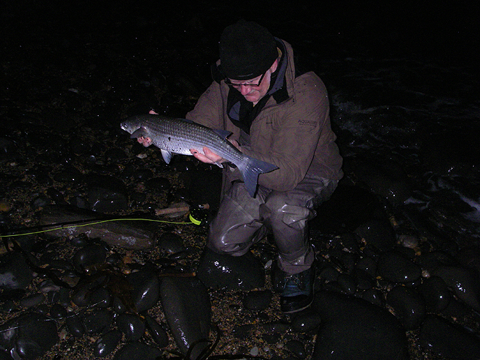 Nigel lifts his fine mullet from the sea - what a fish!