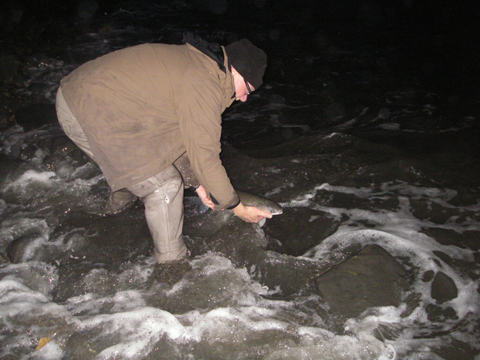 the mullet is returned to the sea, hopefully to fight another day.