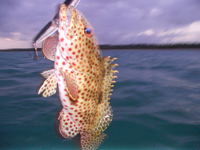 A bit bigger picture.